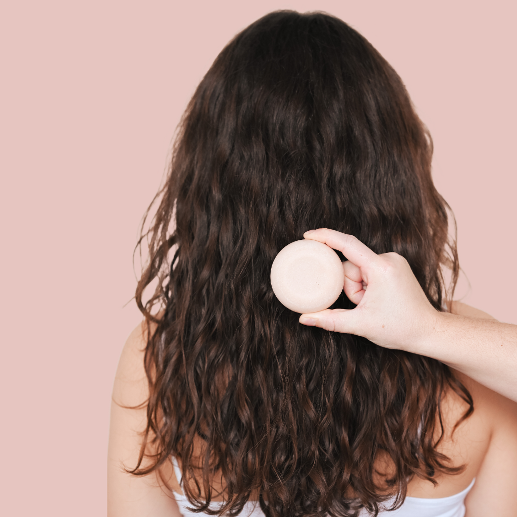 SHAMPOING SOLIDE CHEVEUX SECS