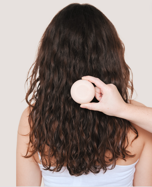 SHAMPOING SOLIDE CHEVEUX SECS
